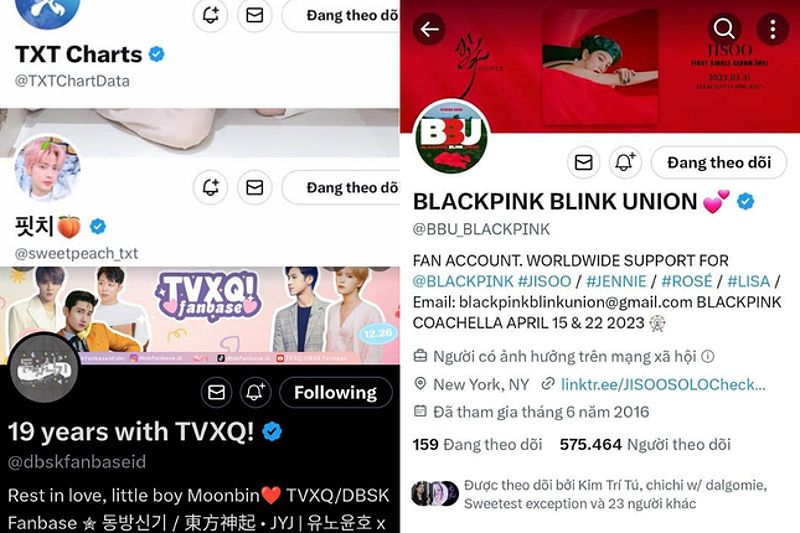 Hàng loạt tài khoản Twitter của idol K-Pop "bay màu" tích xanh, trở thành "dân thường"